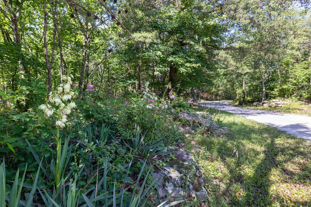 0 Valley View Dr Property Photo 6