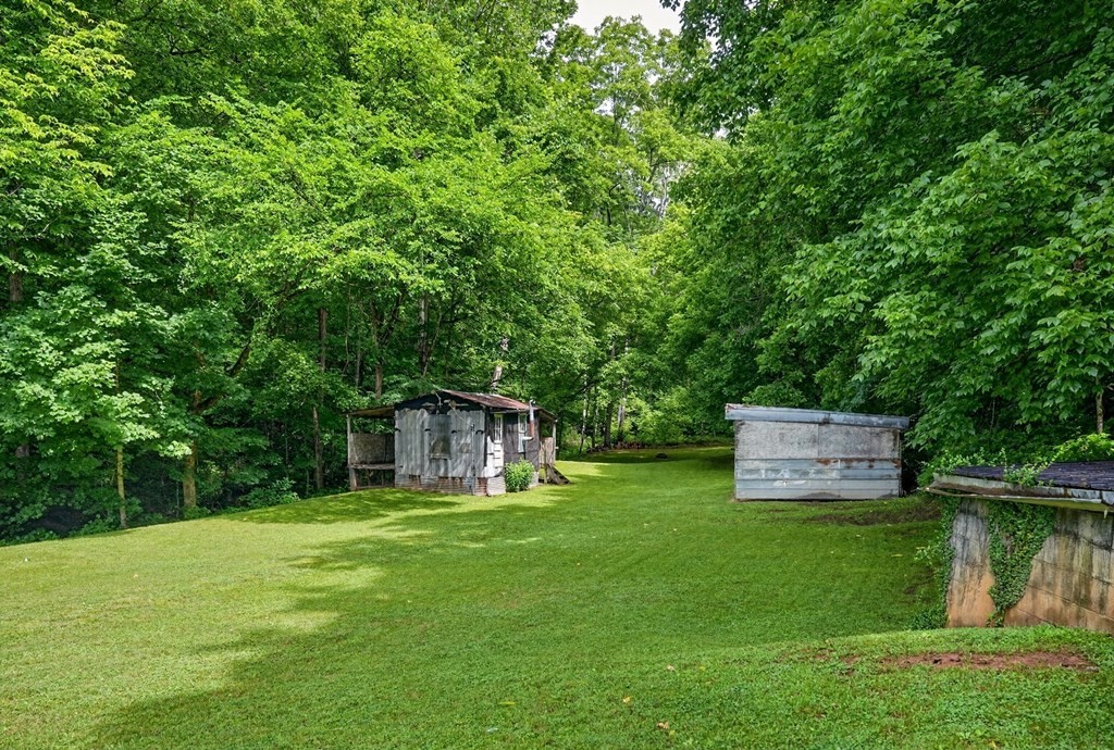 278 Aaron Pennington Ln Property Photo 33