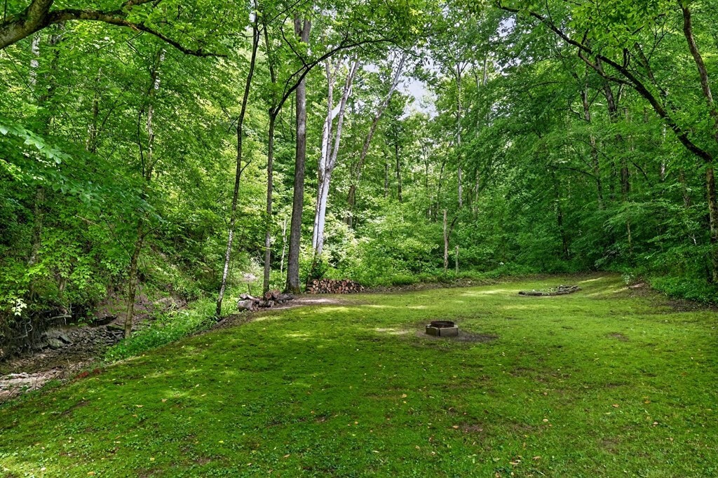 278 Aaron Pennington Ln Property Photo 39