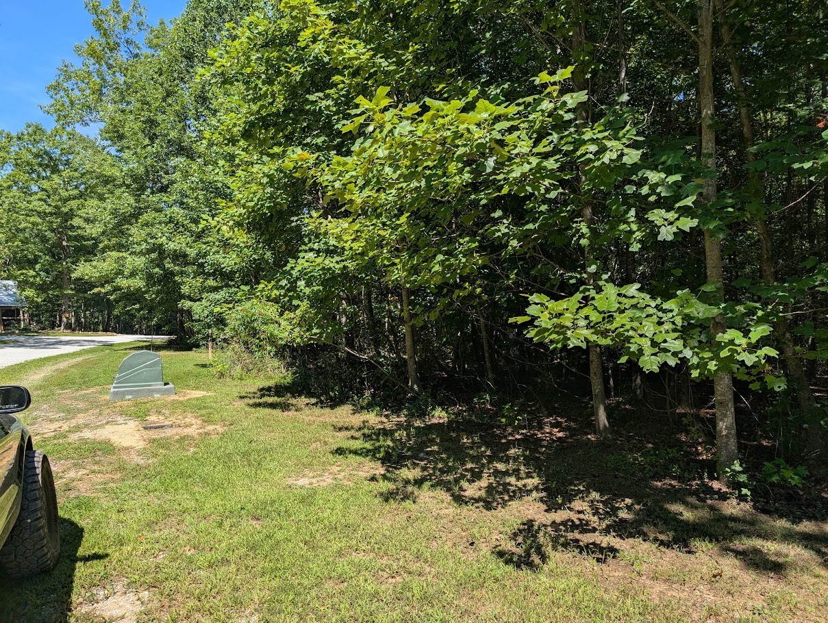 140 Sunset Bluff Way Property Photo 5