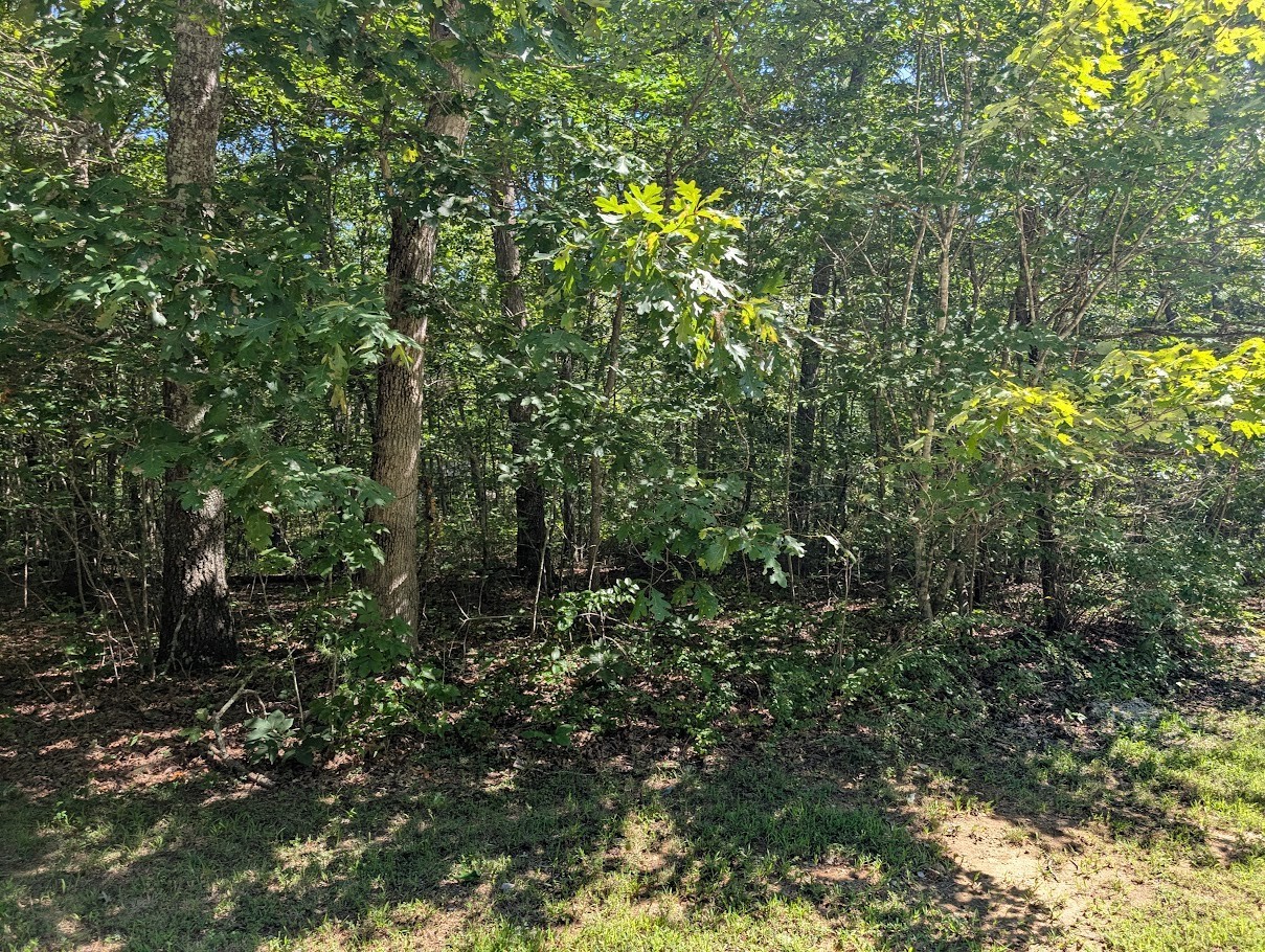 140 Sunset Bluff Way Property Photo 6