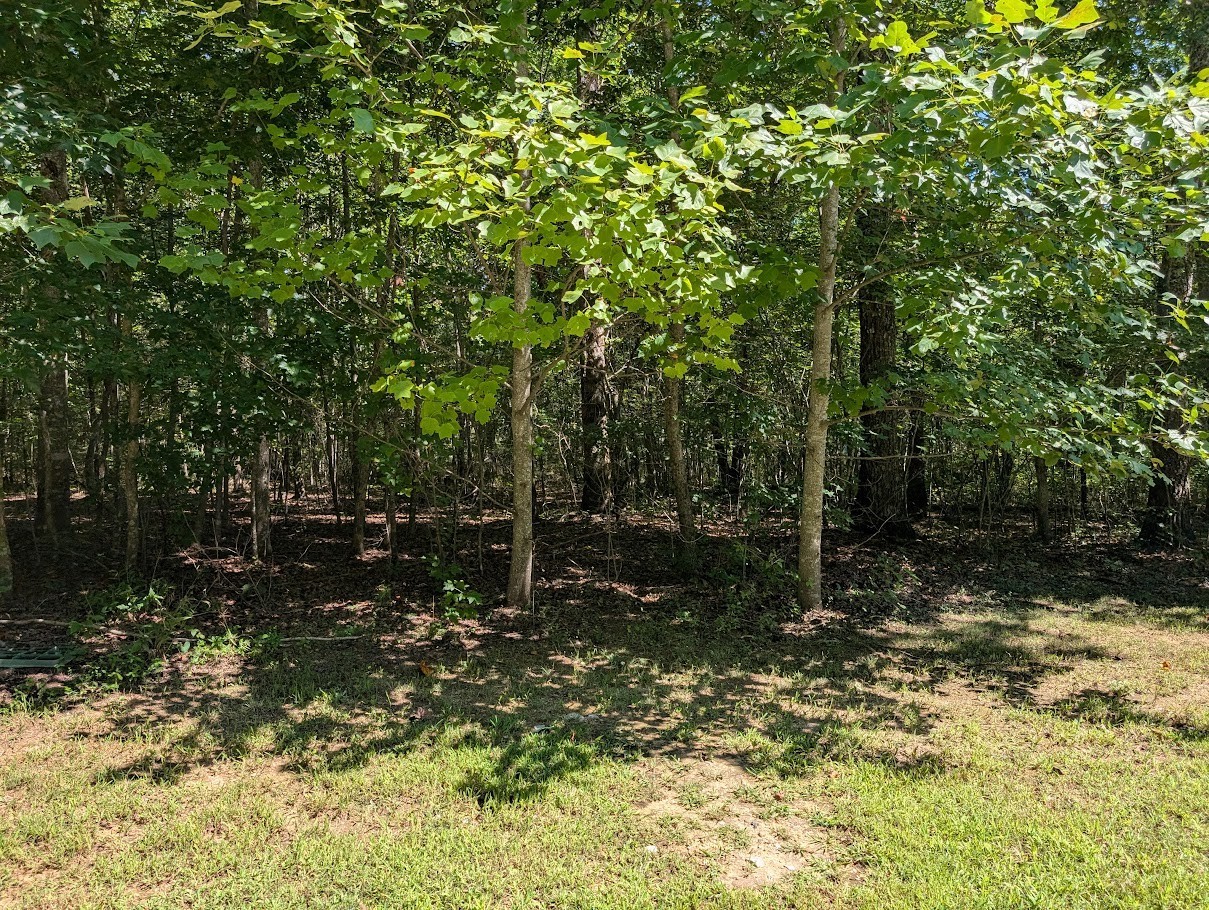 140 Sunset Bluff Way Property Photo 8