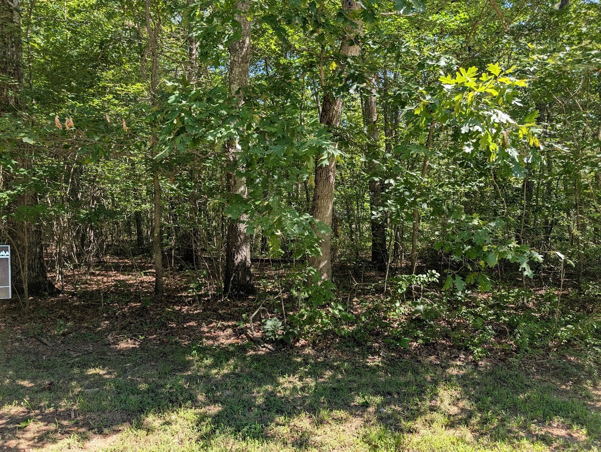 140 Sunset Bluff Way Property Photo 9
