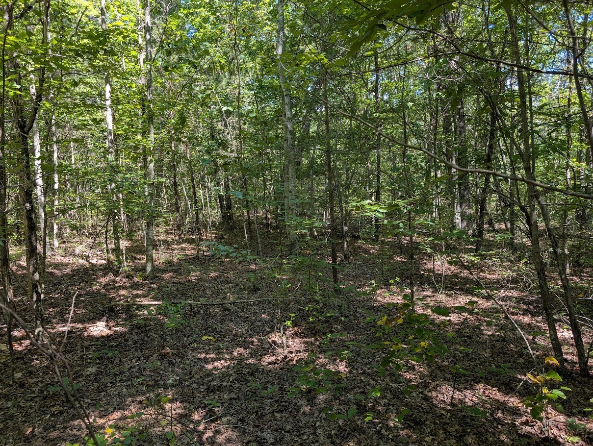 140 Sunset Bluff Way Property Photo 21