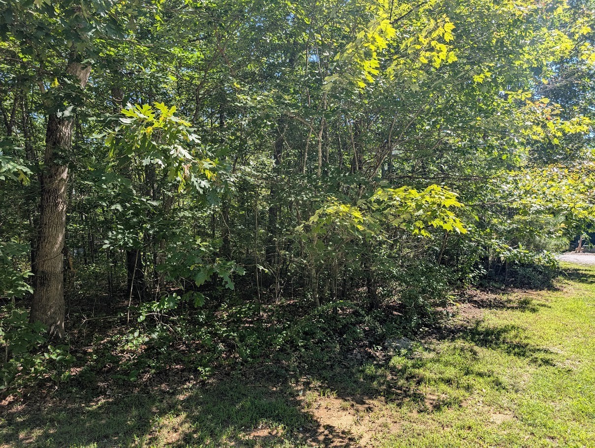 140 Sunset Bluff Way Property Photo 28