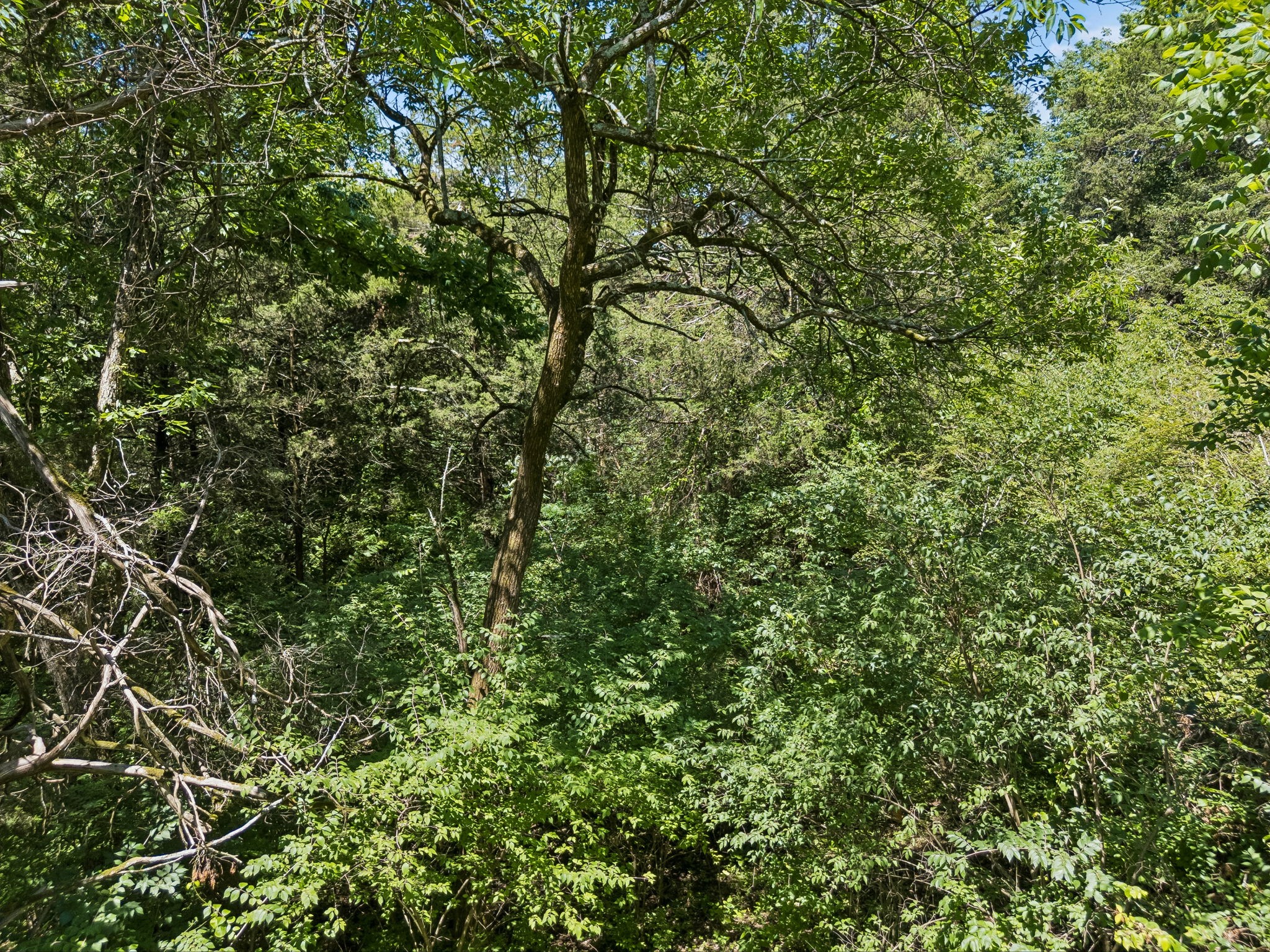 1433 Beddington Park Property Photo 22
