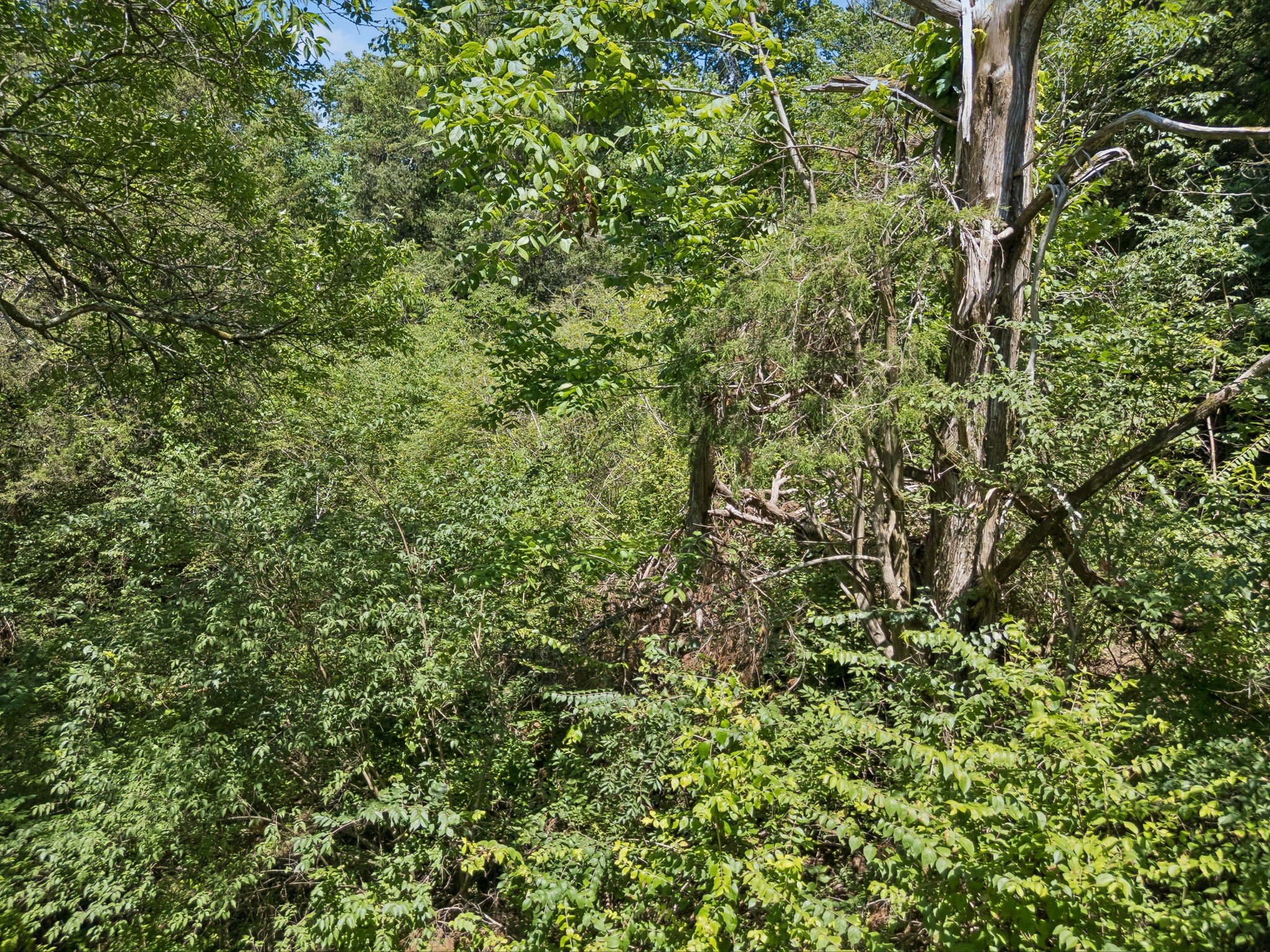 1433 Beddington Park Property Photo 23