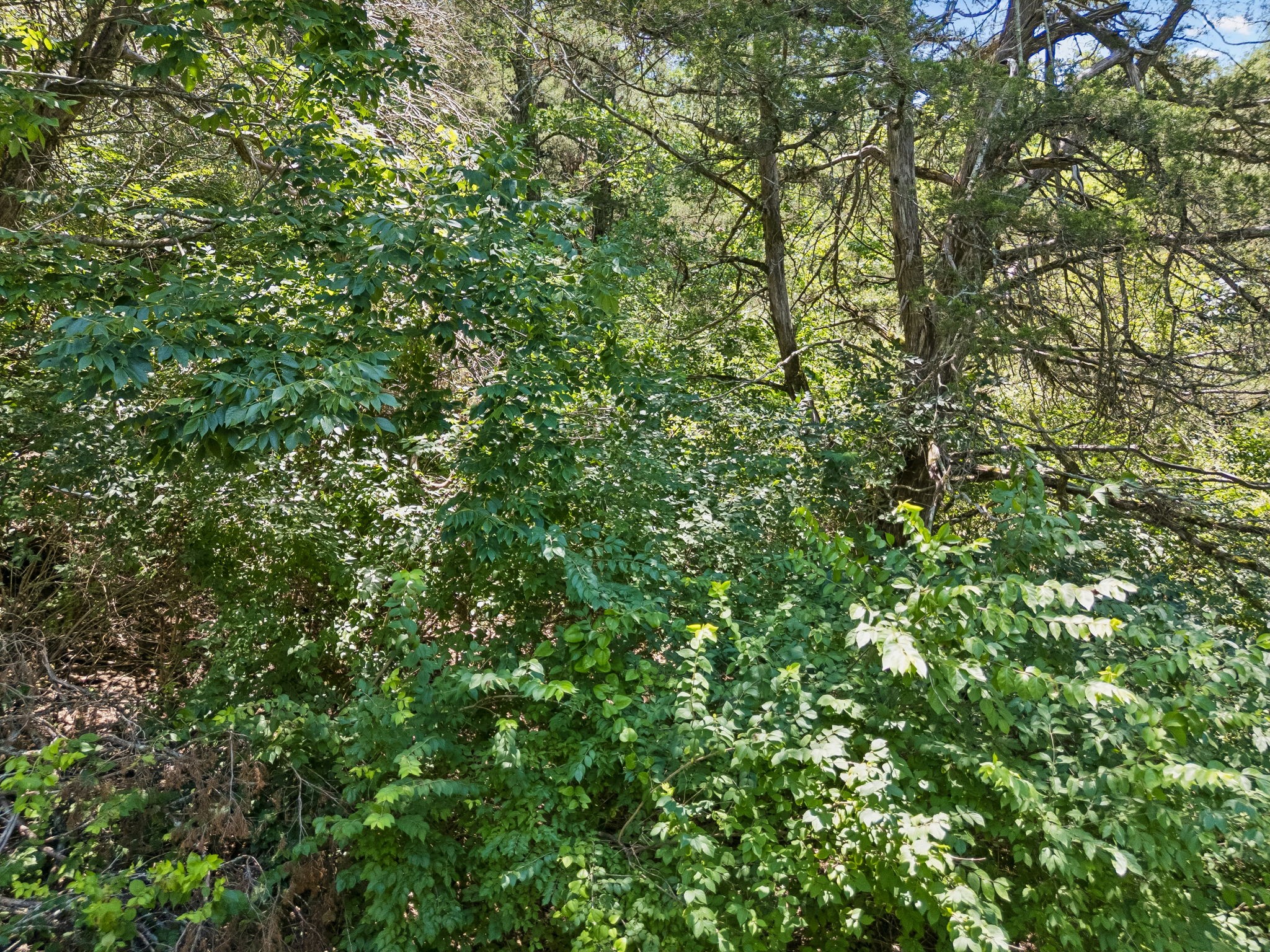 1433 Beddington Park Property Photo 24