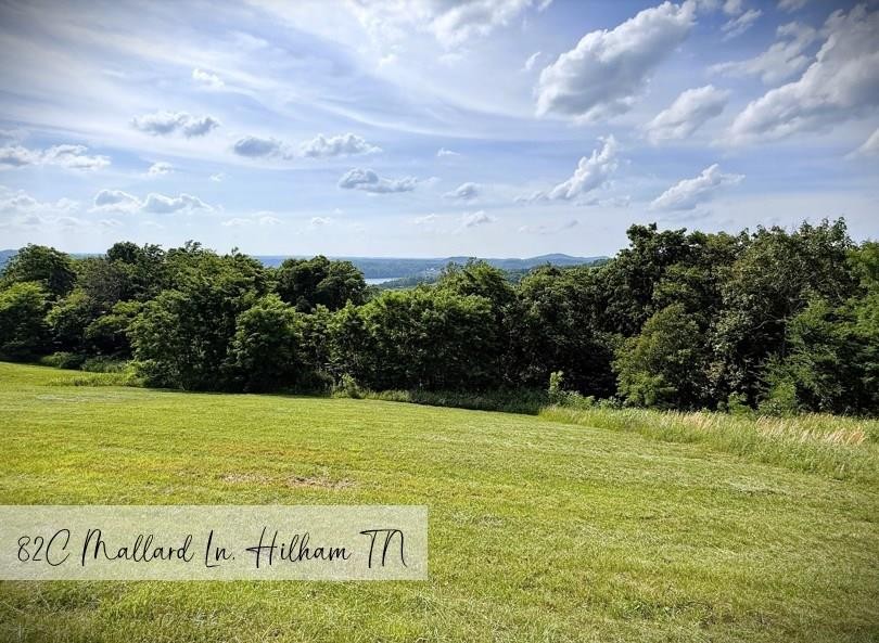82c Mallard Rd Property Photo 1