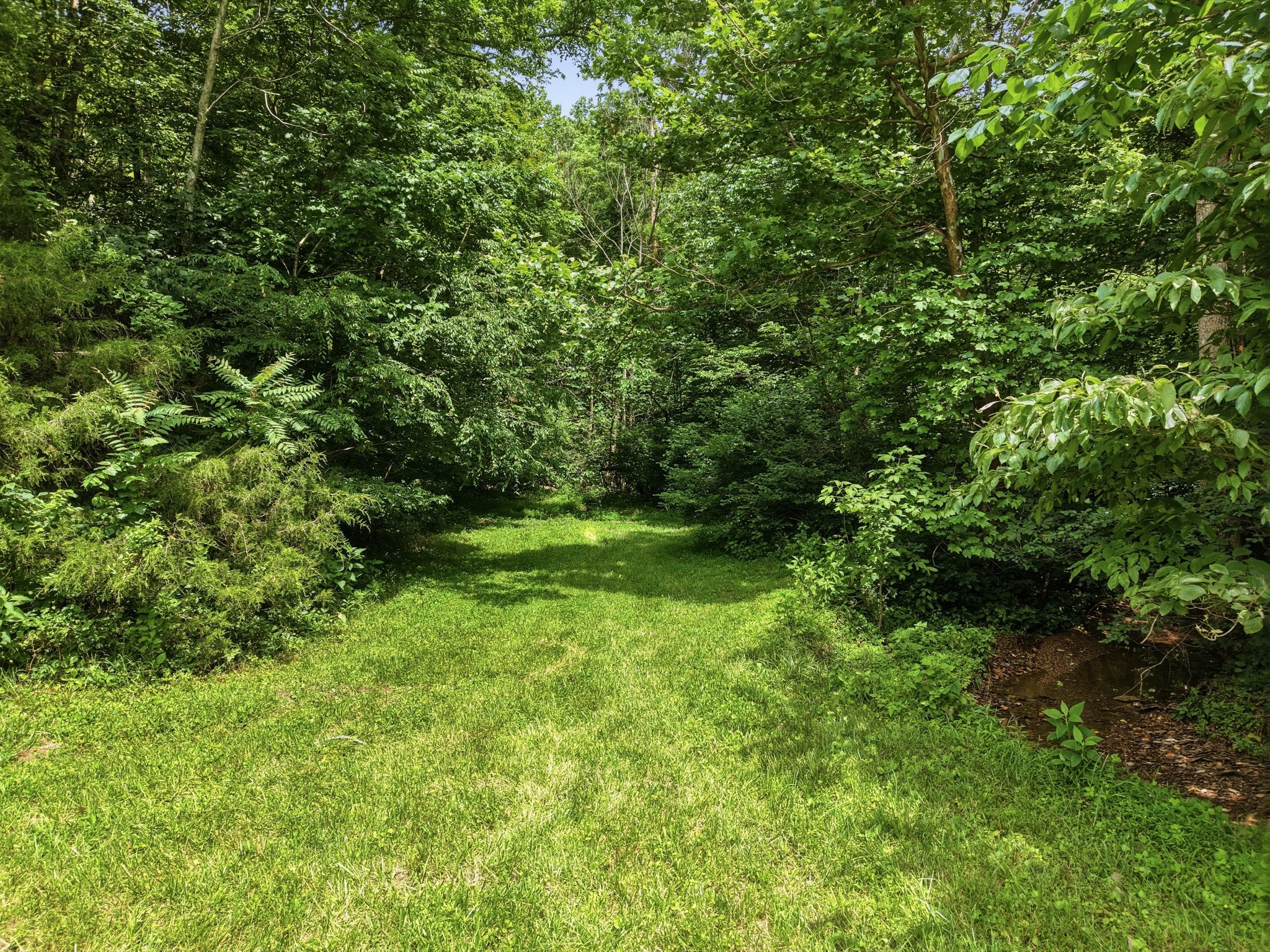 1639 Eucalyptus Dr Property Photo 42