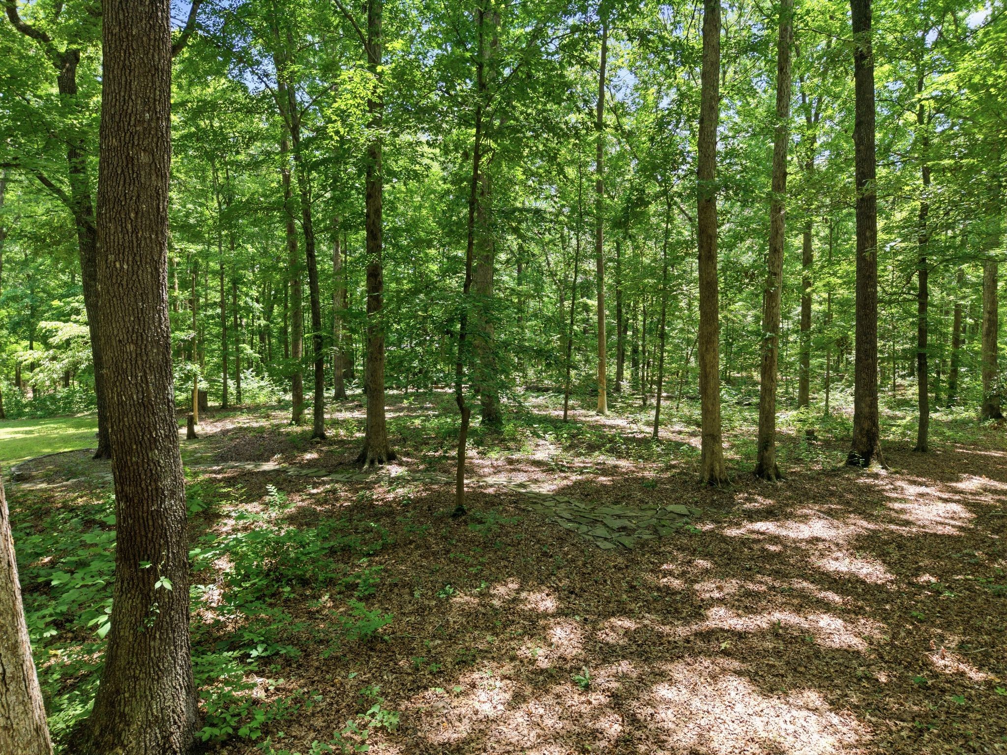 1225 Johnny Hall Rd Property Photo 37