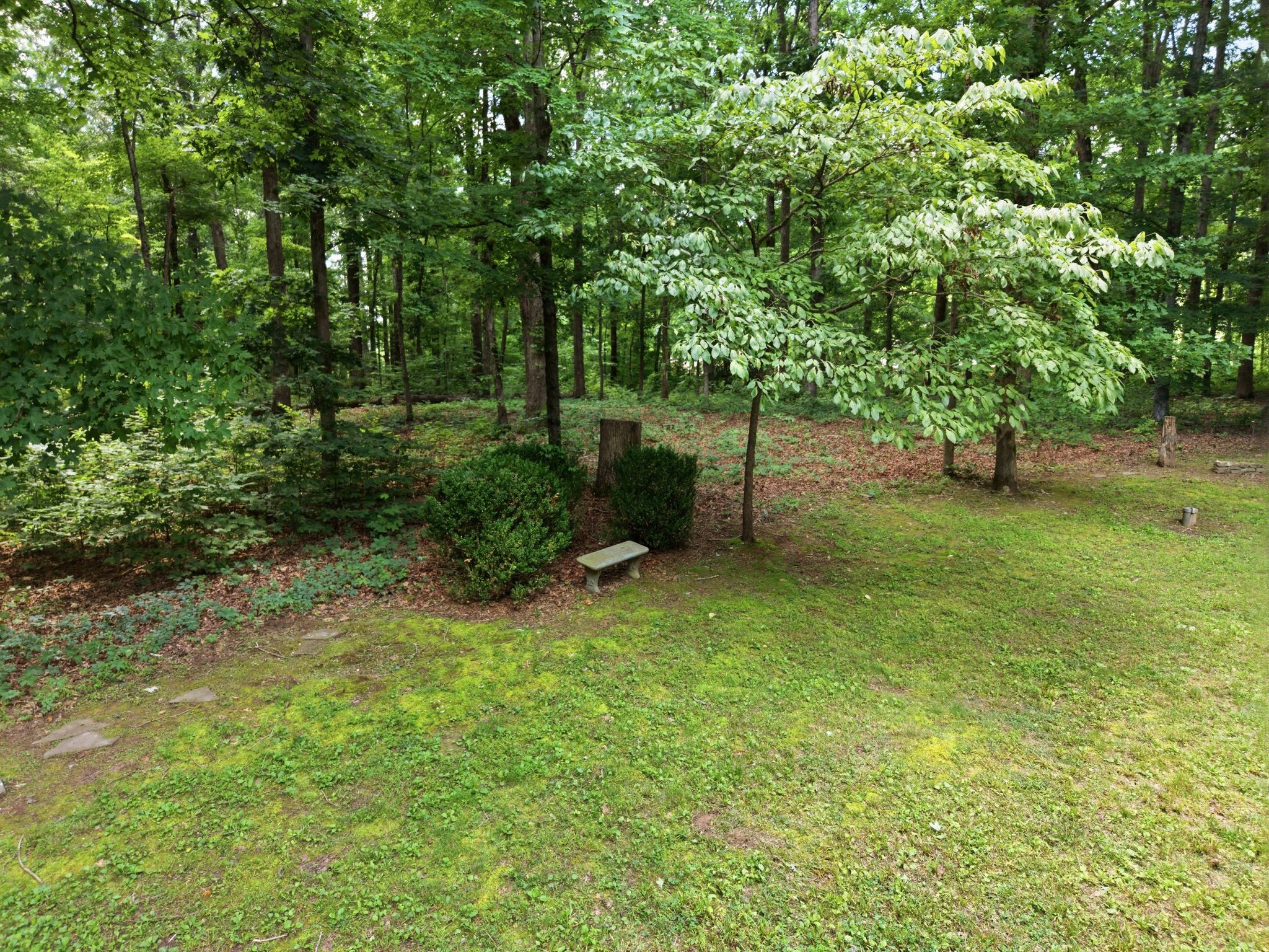 1225 Johnny Hall Rd Property Photo 46
