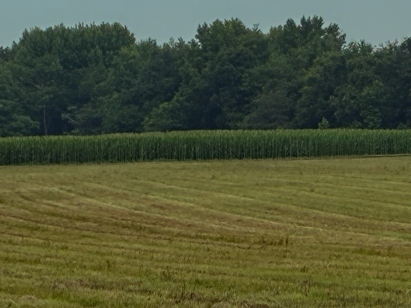 0 Rushing Road Property Photo 1