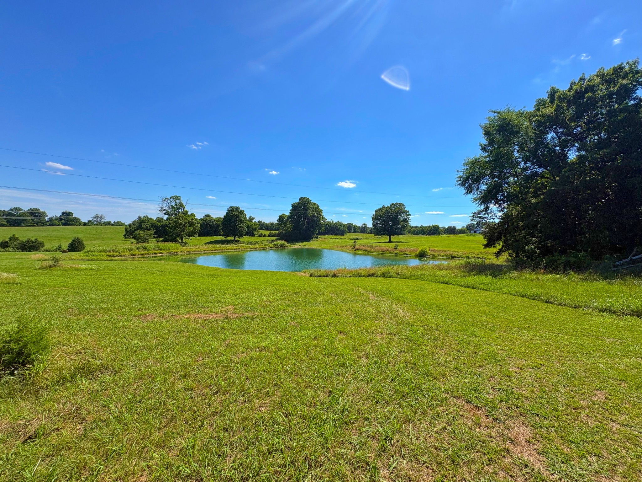 485c Canoe Branch Rd Property Photo 1