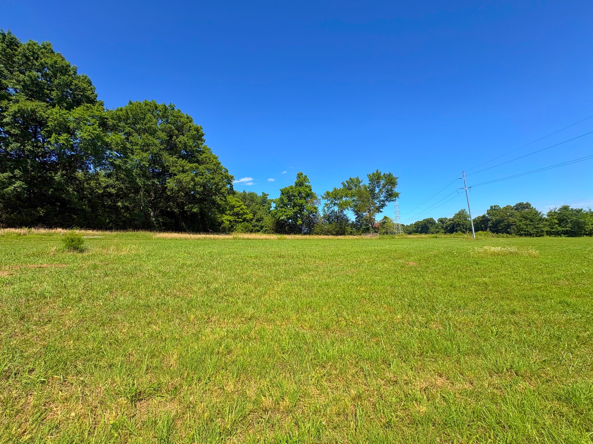 485c Canoe Branch Rd Property Photo 4