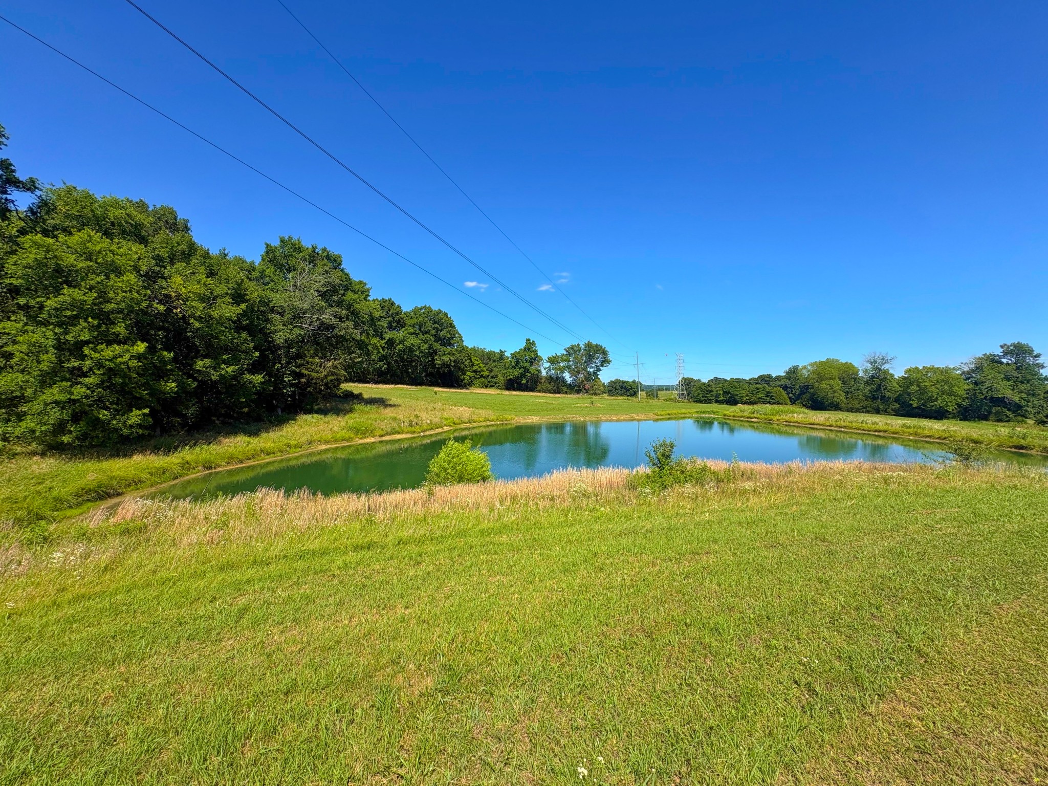 485c Canoe Branch Rd Property Photo 5