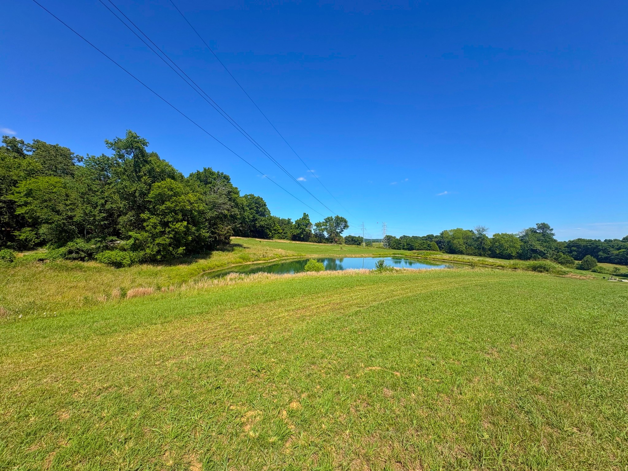 485c Canoe Branch Rd Property Photo 6