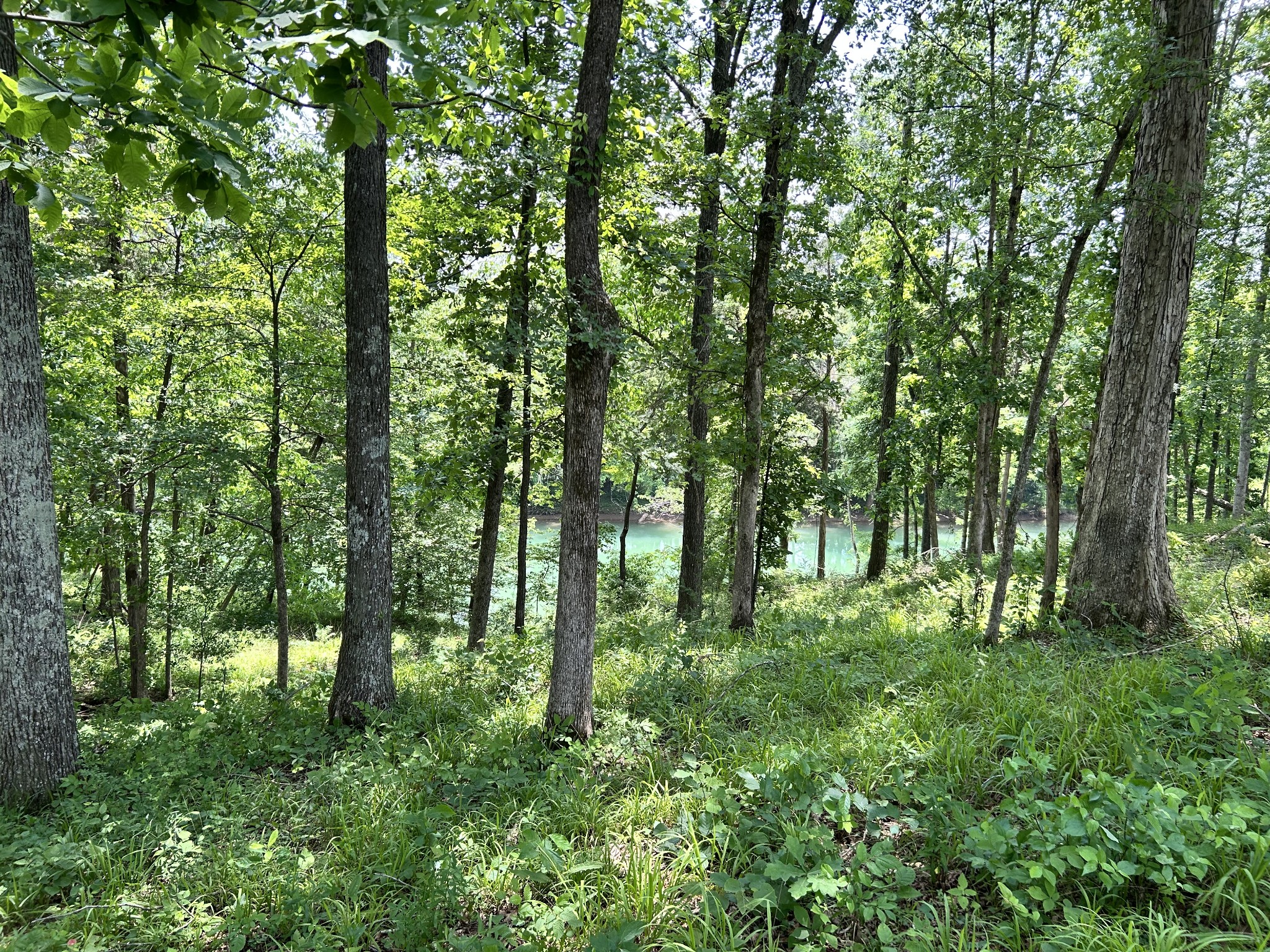 0 Anchor Bend Dr Property Photo 3