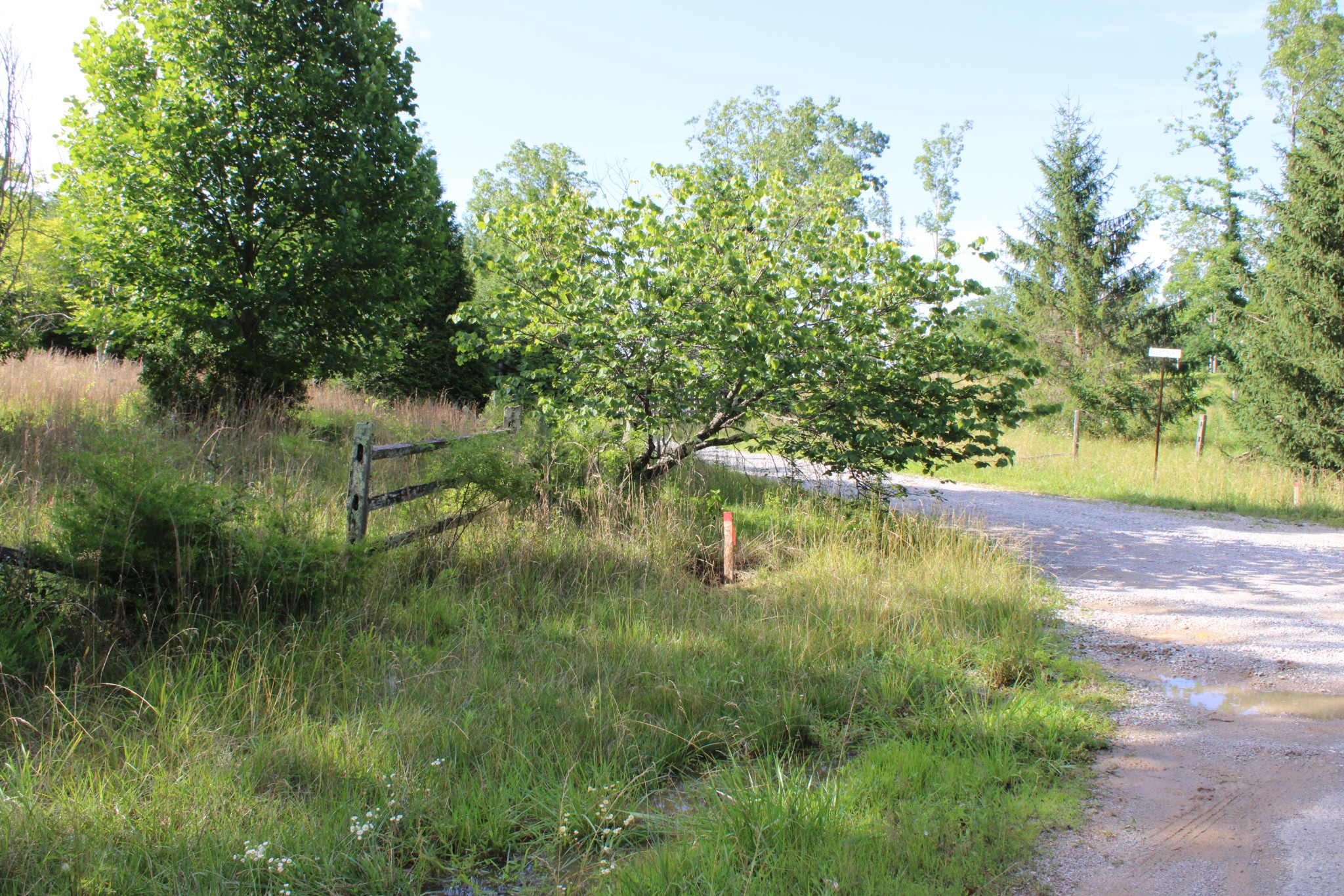 0 Long Mountain Property Photo 1