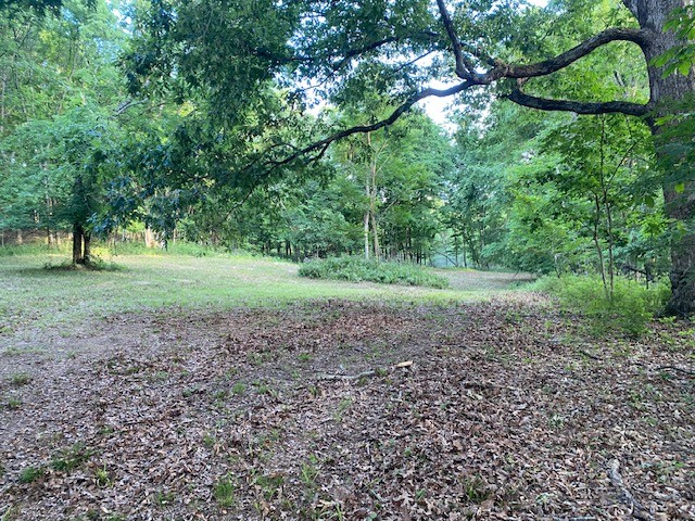 250 Hurt Rd Property Photo 2