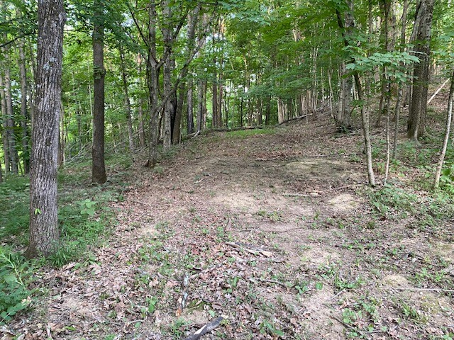 250 Hurt Rd Property Photo 3