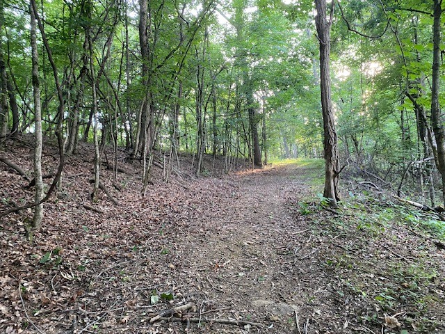 250 Hurt Rd Property Photo 4