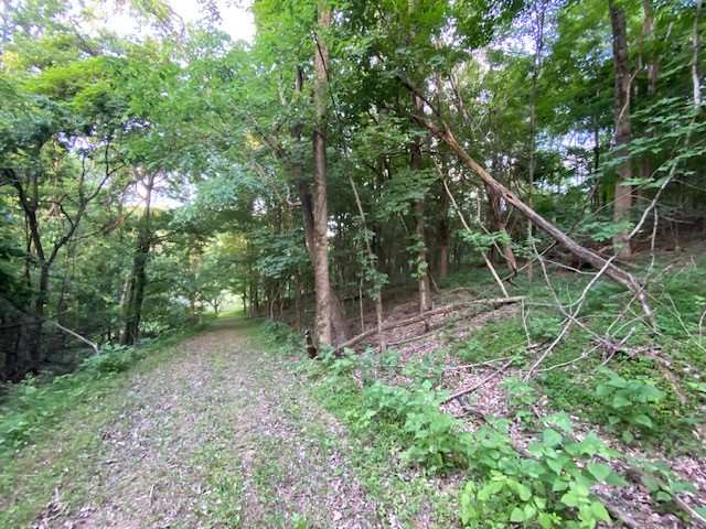 250 Hurt Rd Property Photo 6