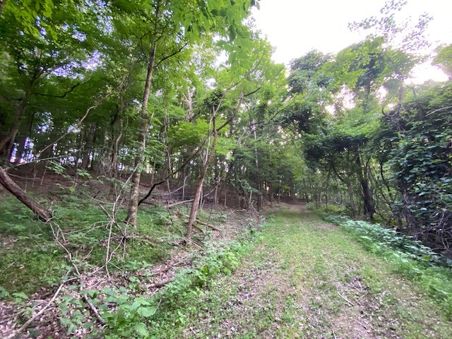 250 Hurt Rd Property Photo 7