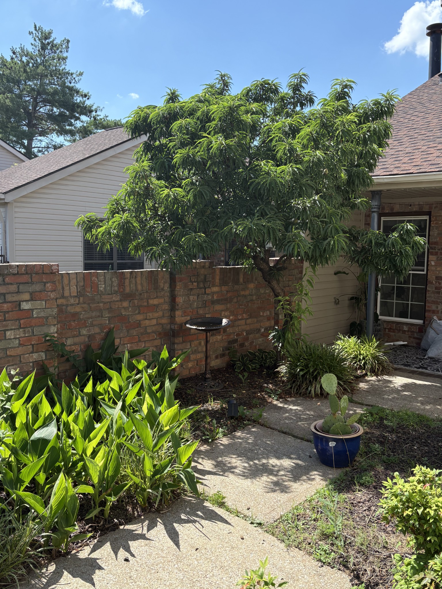 404 Laurel Hill Dr Property Photo 1