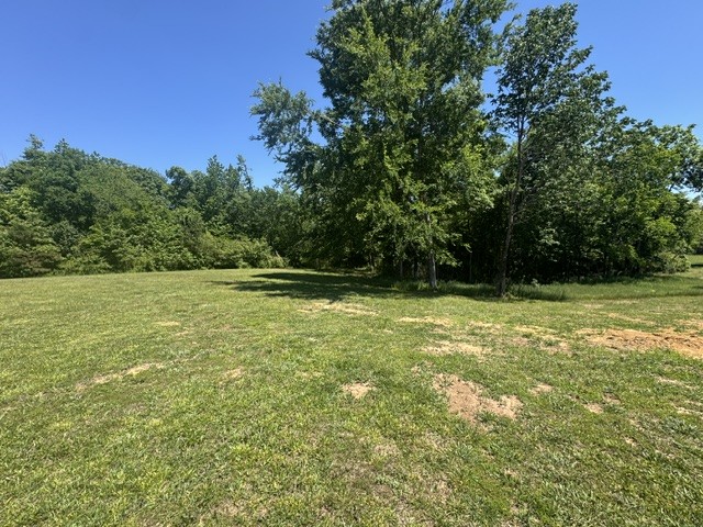 479 Horseshoe Bend Rd Property Photo 8