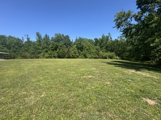 479 Horseshoe Bend Rd Property Photo 9