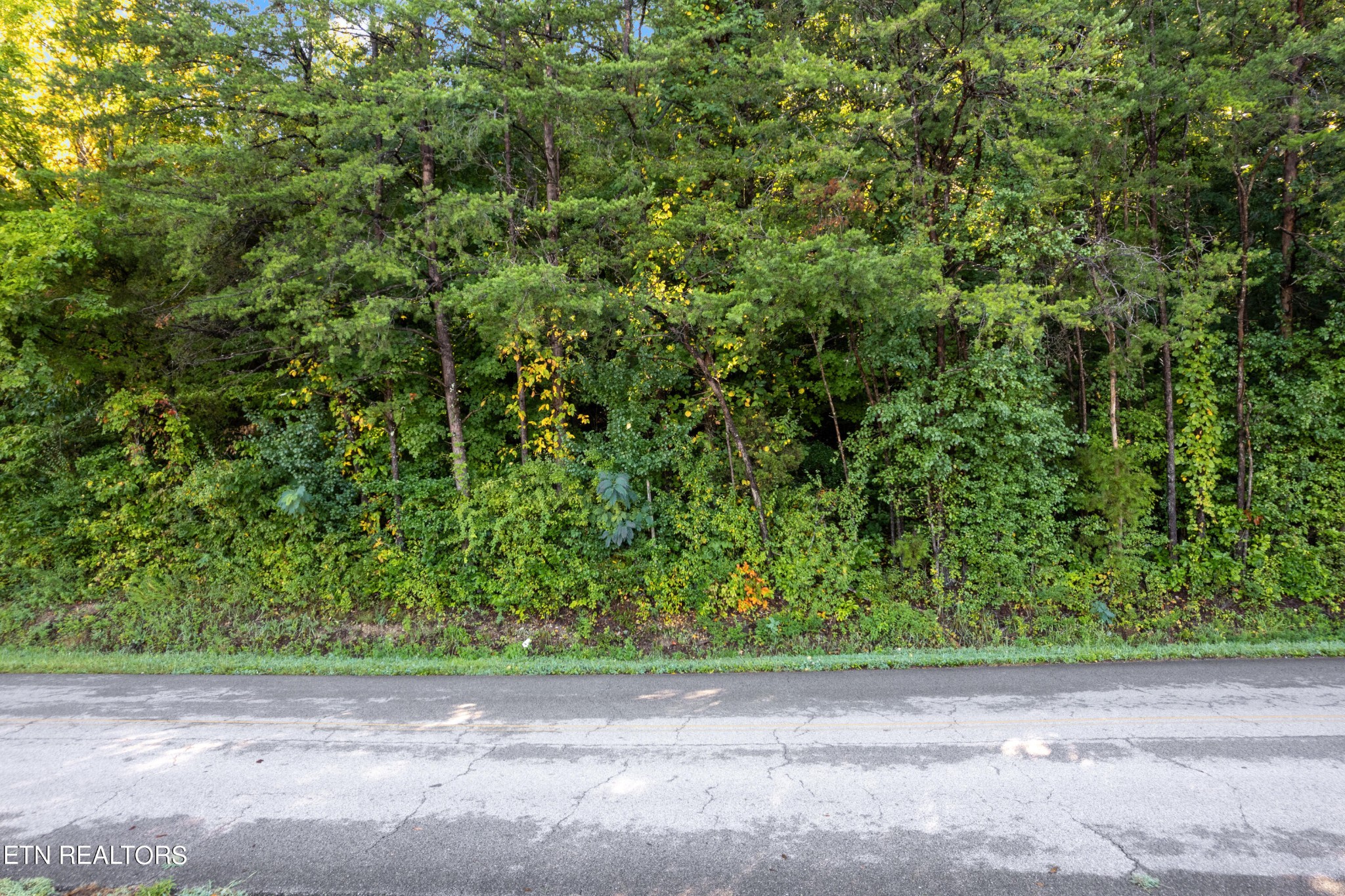 0 Delozier Lane Property Photo 2