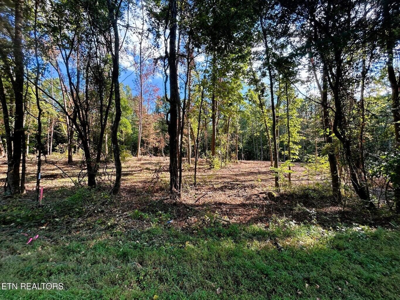 55 Pleasant Hill Road Property Photo 1