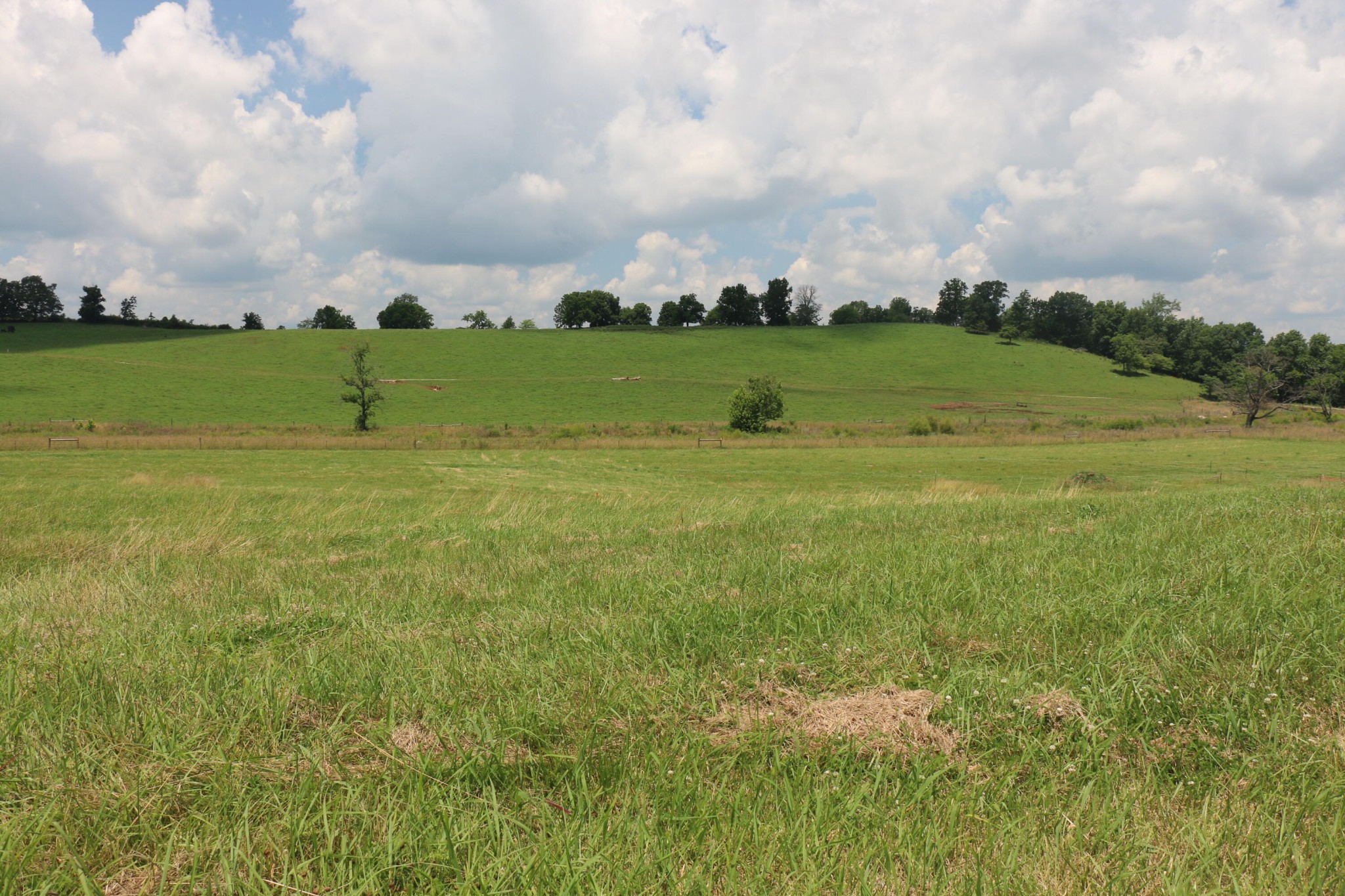 4 County Road 461 Property Photo 1