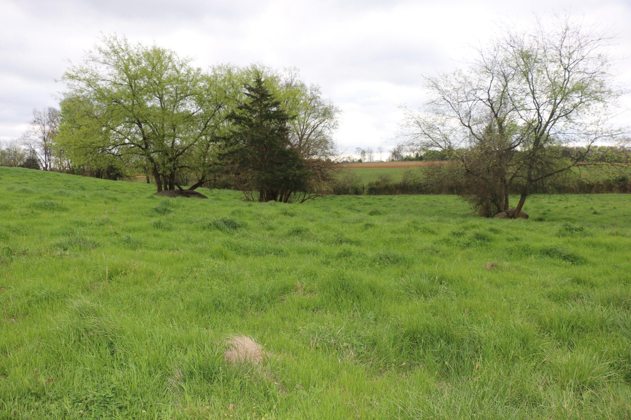 551 Campground Road Property Photo 1