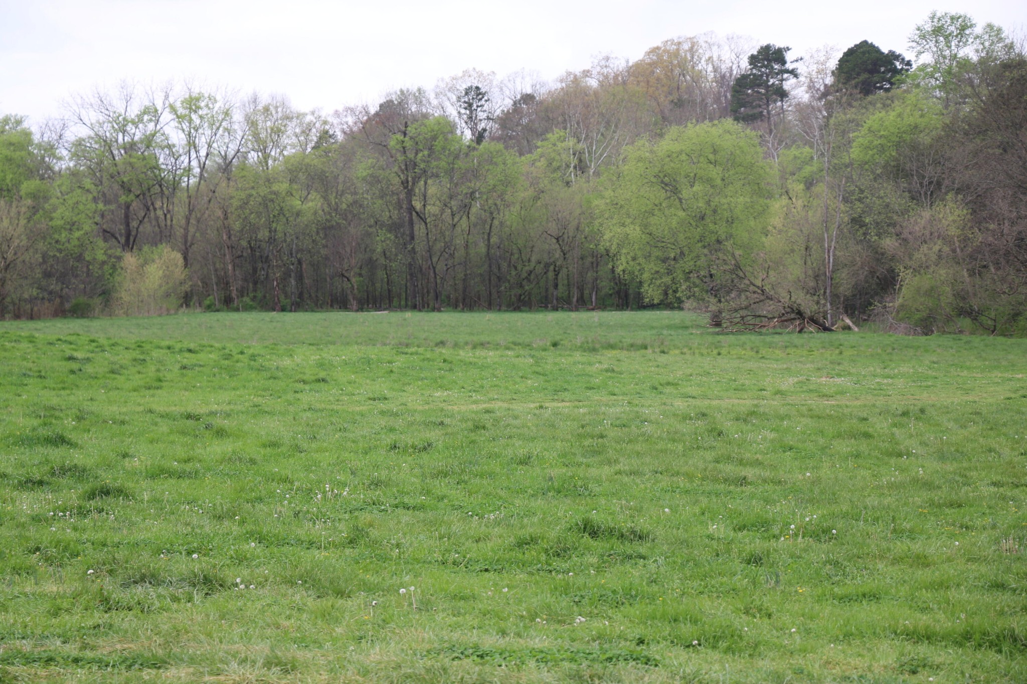 606 Campground Road Property Photo 1