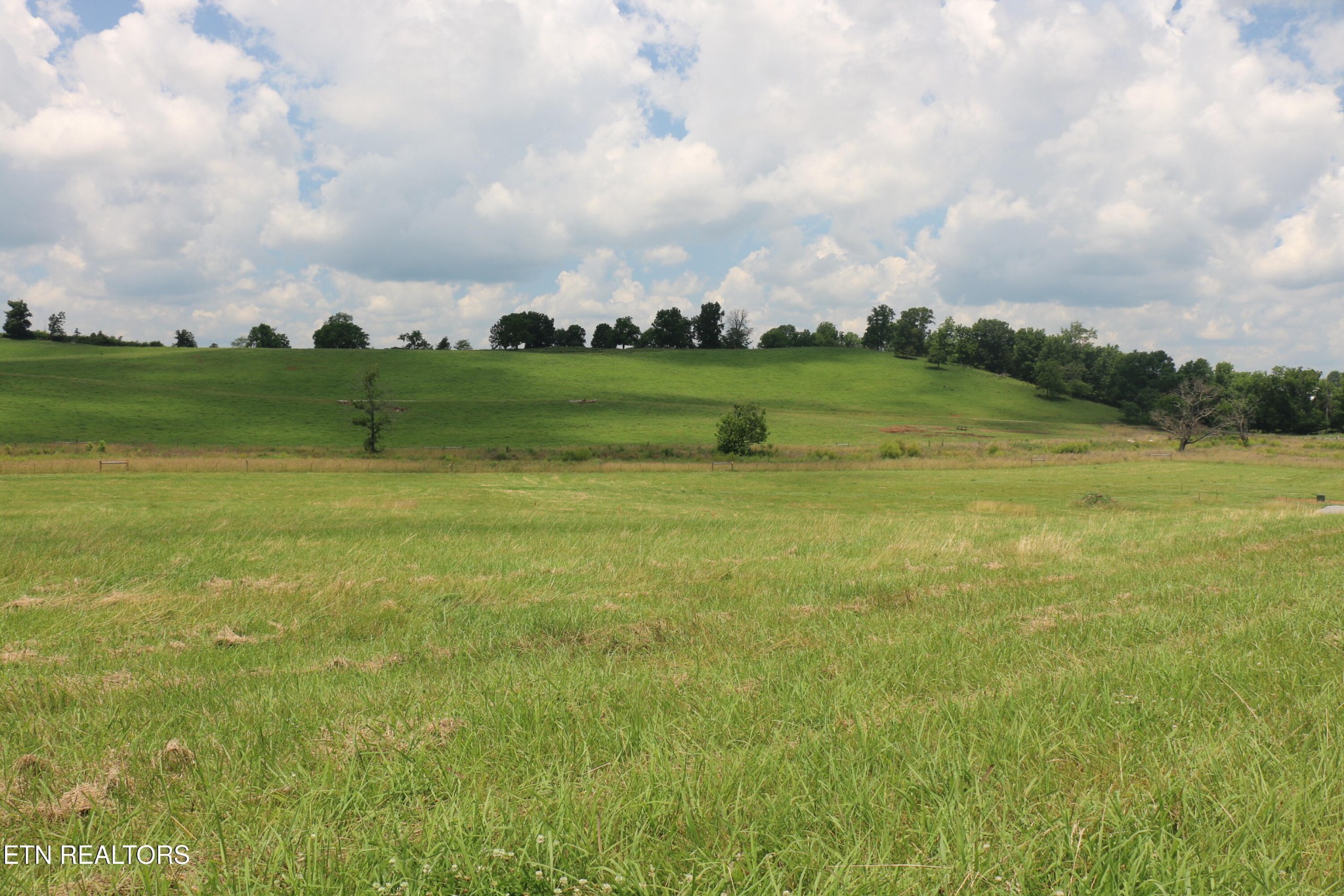 4 County Road 461 Property Photo 3