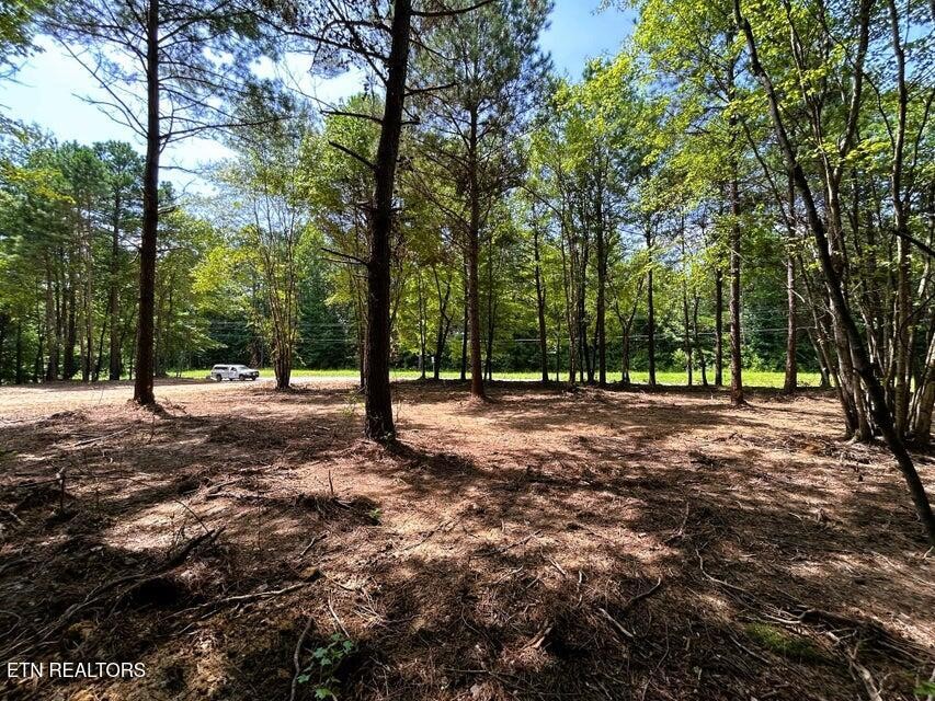 34 State Highway 304 Property Photo 1