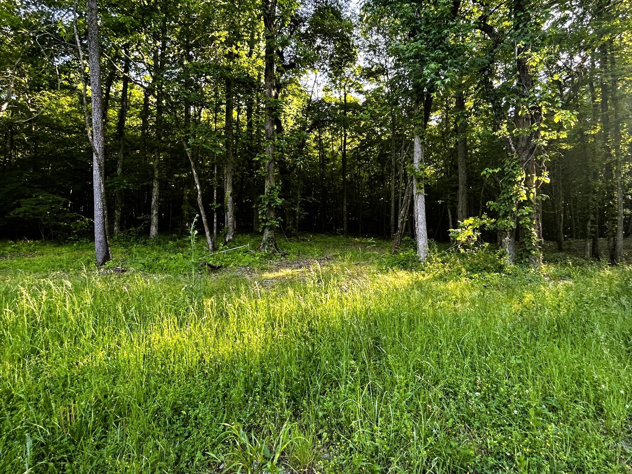 9 Pleasant Hill Road Property Photo 1