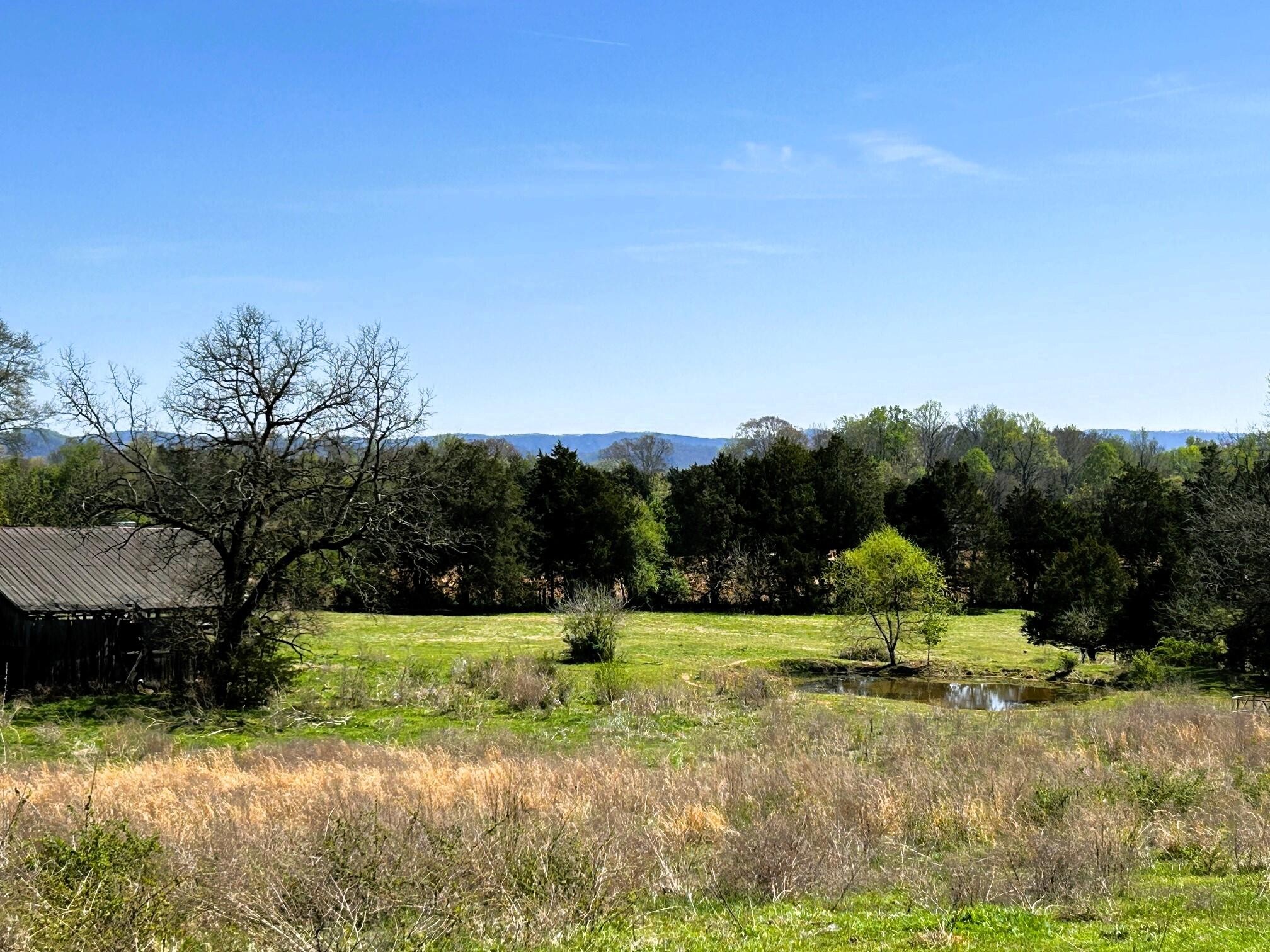175 County Road 571 Property Photo 1