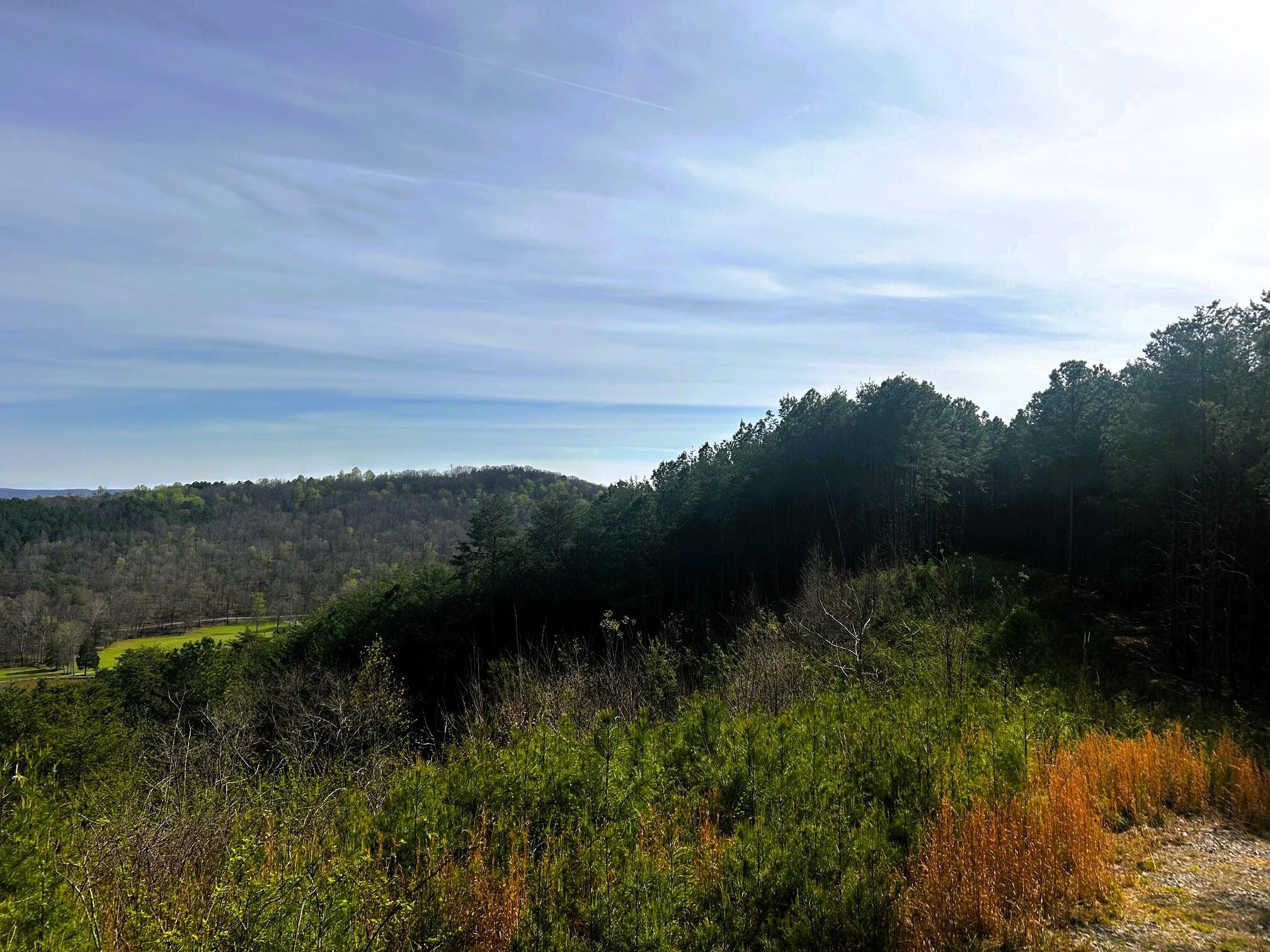 7 Sw Owl Hollow Road Property Photo 1