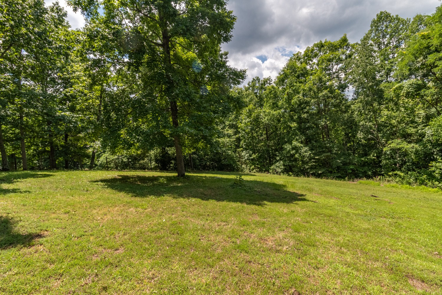 127 Shade Tree Ct Property Photo 15