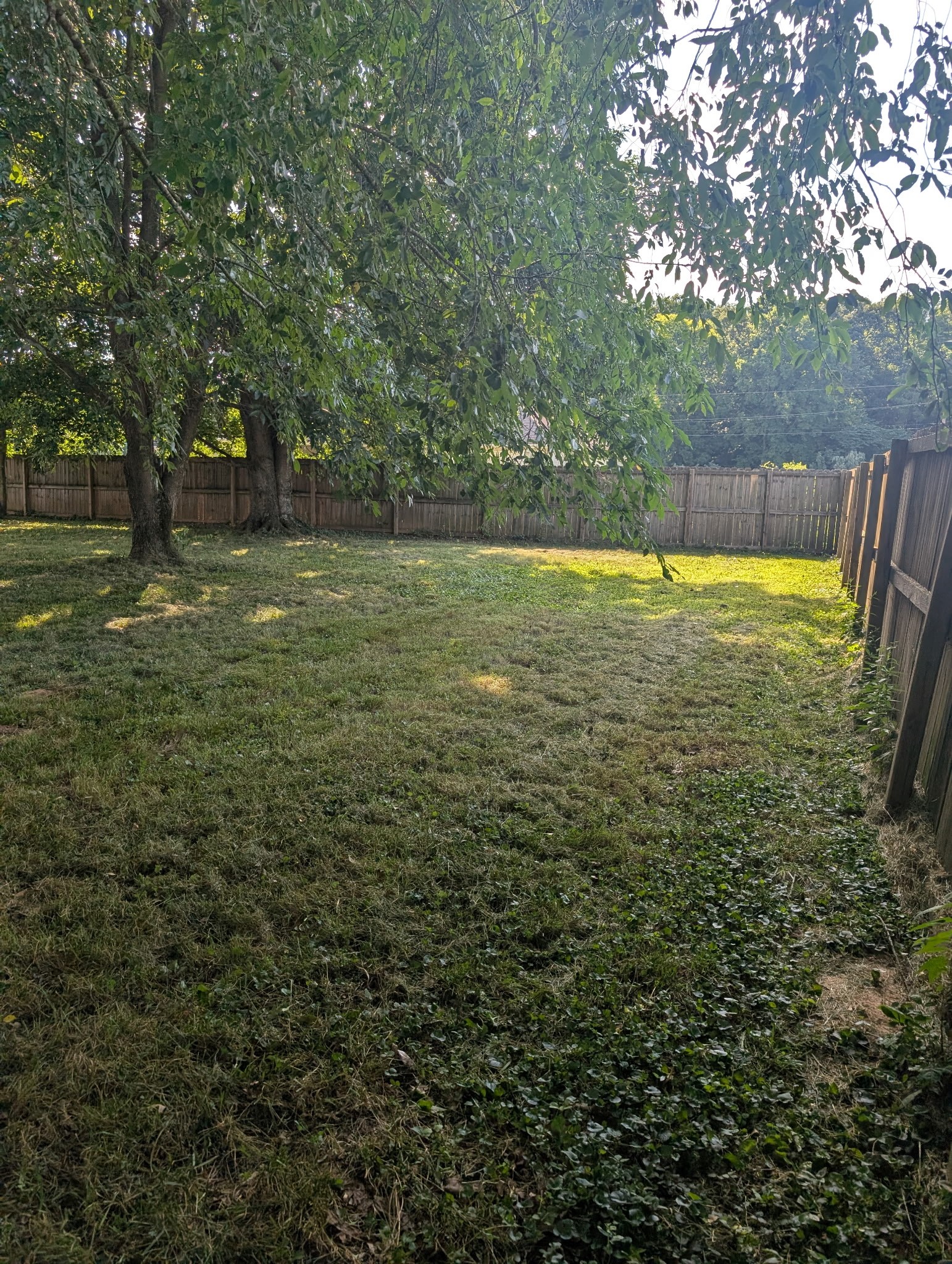 202 Quincy Dr Property Photo 24