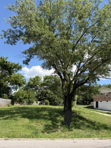 504 Combs Ter Property Photo 1