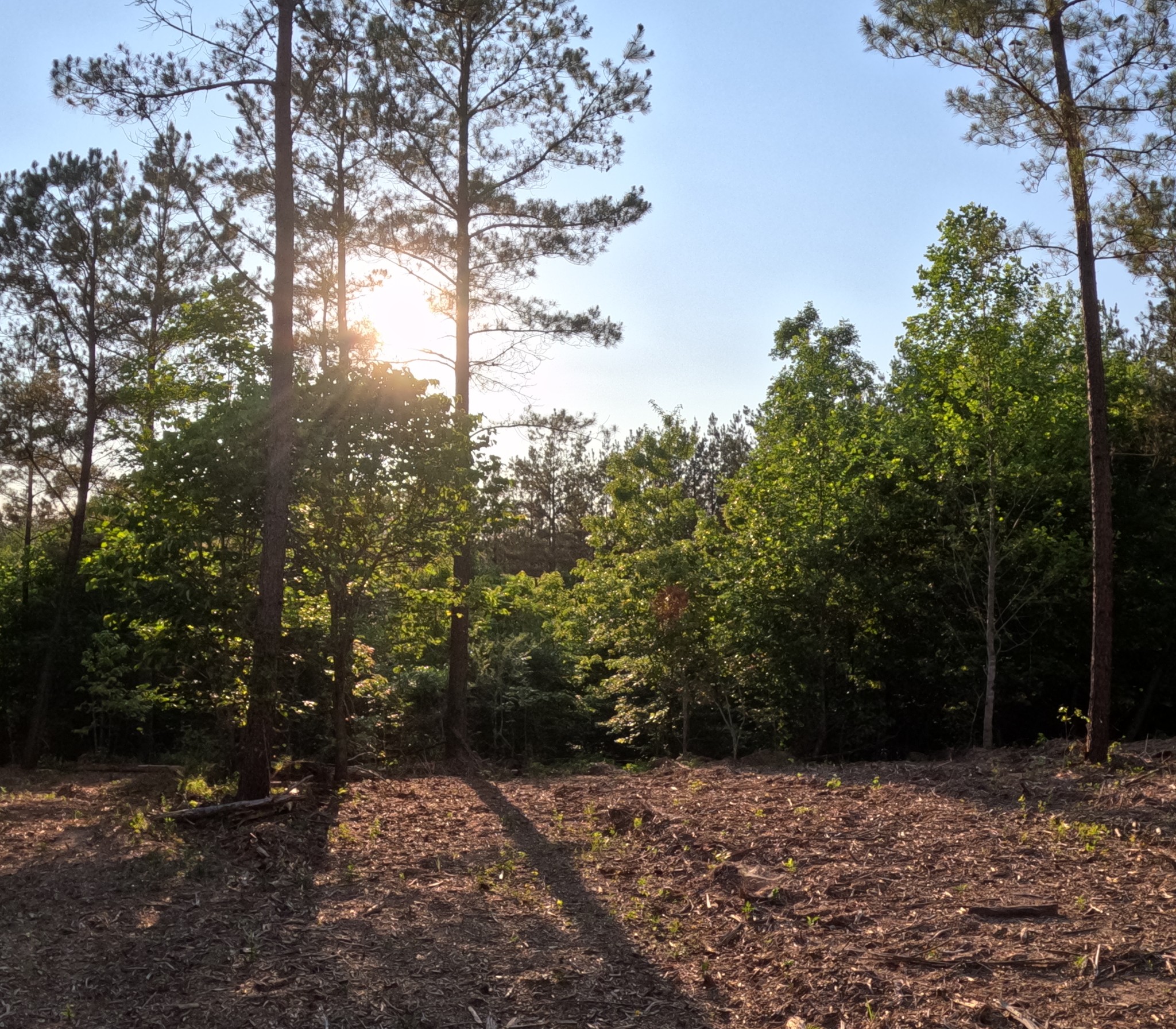 1882 Hillbrook Dr Property Photo 1