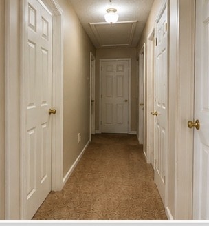 133 Buttonwood Dr Property Photo 8