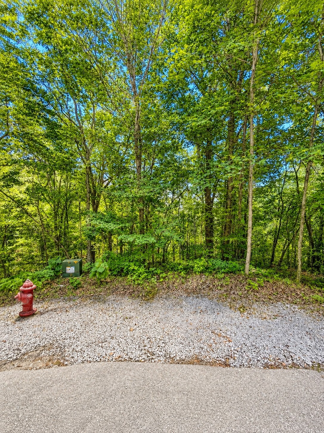 0 Woodcrest Dr Property Photo 1