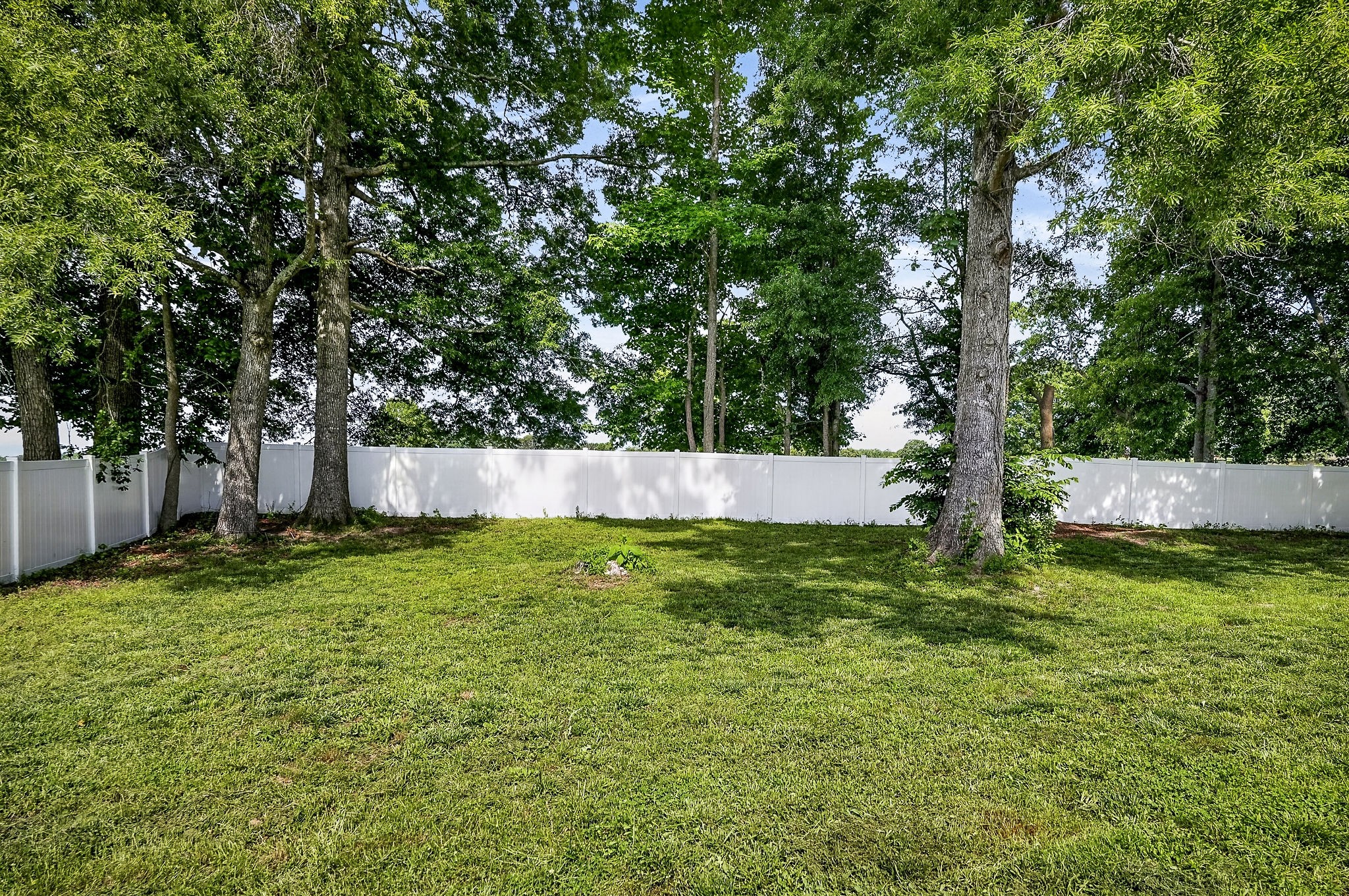 242 Grace Dr Property Photo 37