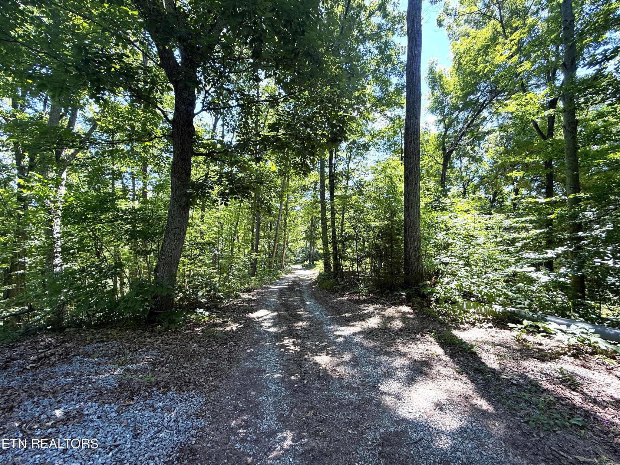 1040 Sturmhaben Way Property Photo 26