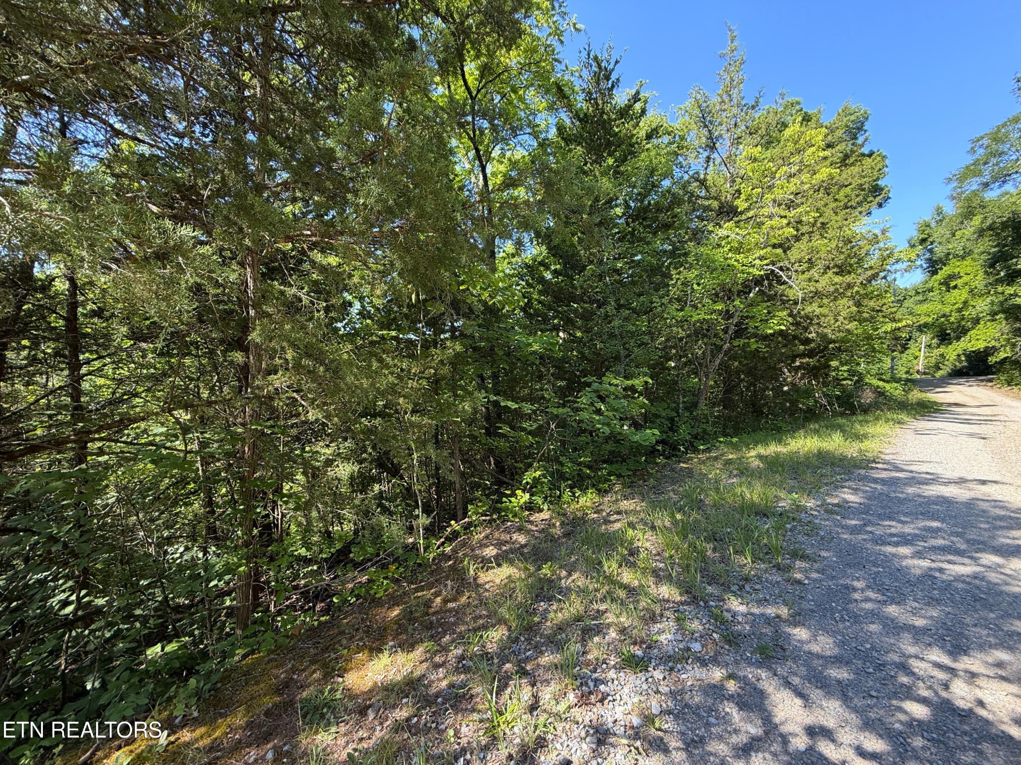 1040 Sturmhaben Way Property Photo 27
